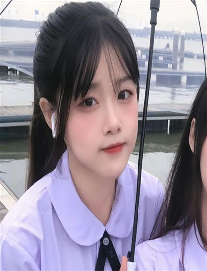 精彩绝伦的社会的虎猛警师4讲了什么故事？完整剧情详细介绍